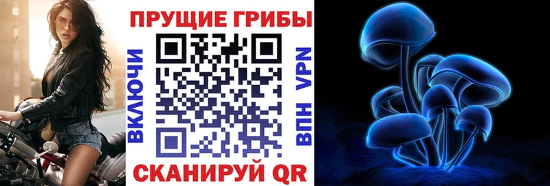 Псилоцибиновые грибы мицелий  Адыгейск 